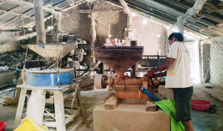 कुटानी–पिसानी मिलबाट एक लाख बढी आम्दानी