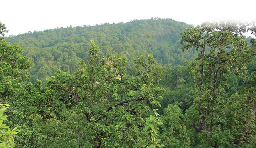 ५ दिनदेखि बेपत्ता पतिपत्नी जंगलमा मृत भेटिए