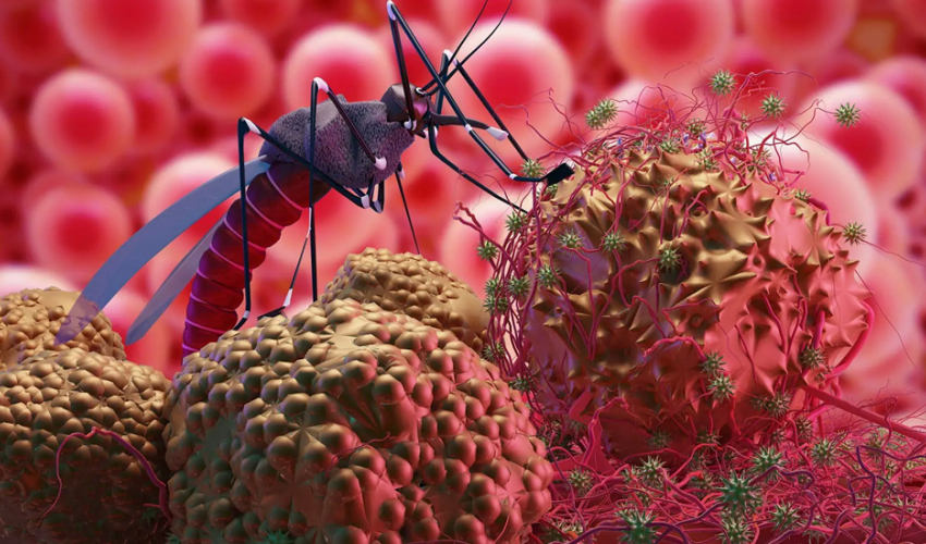 कञ्चनपुरमा औलोको जोखिम