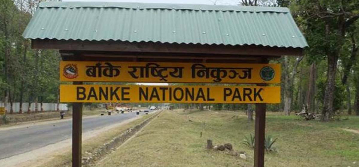 बाँके राष्ट्रिय निकुञ्जमा पर्या पर्यटन प्रवर्द्धन गर्न माग