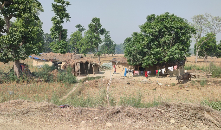 चौबीस वर्षदेखि न्यायको पखाईमा शुक्लाफाँटा आरक्ष विस्थापित 