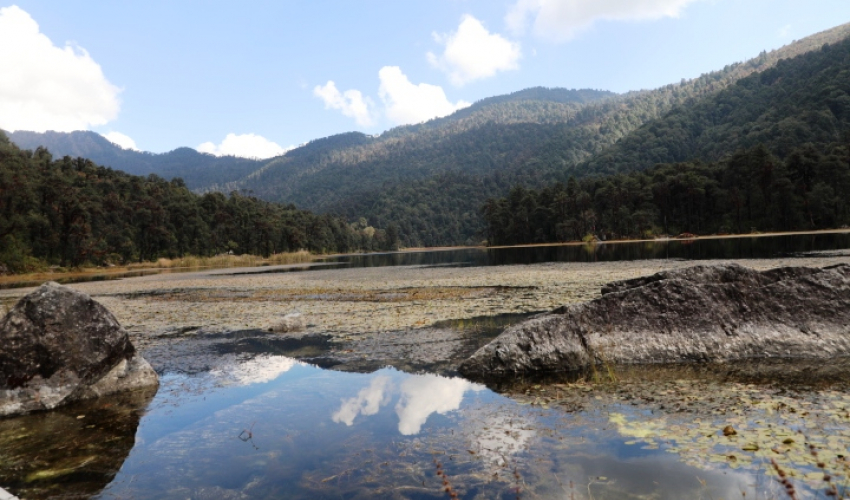 ‘राज्यले मलाई चिन्न सकेन या देखेन ?’