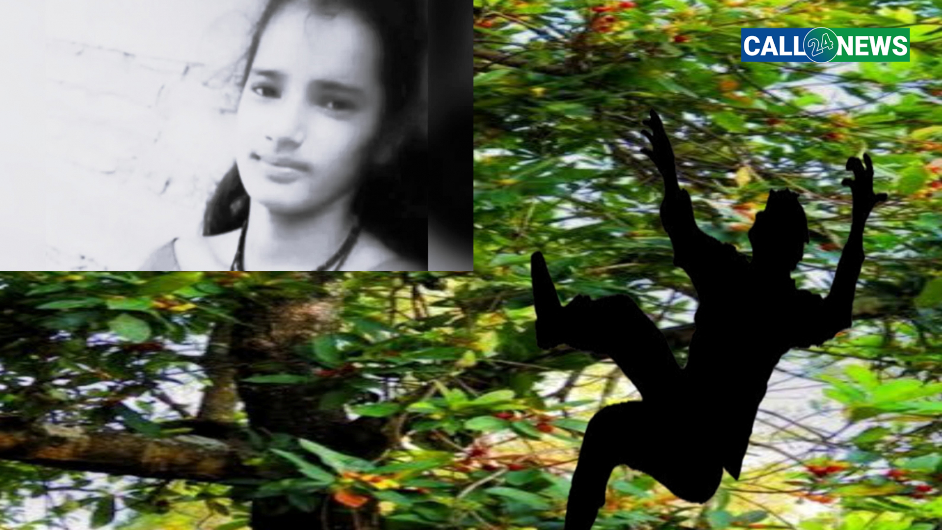 काफल खान जंगल गएकी बैतडीकी सिमा रुखबाट खसेर अस्ताईन्