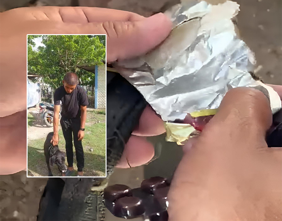 लागुऔषध ओसारपसारमा कुकुर प्रयोग, ‘रक्की’को घाँटीमा भेटियो ब्राउनसुगर