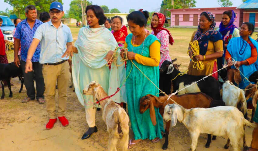 धनगढीका ४२ किसानलाई बाख्रा वितरण