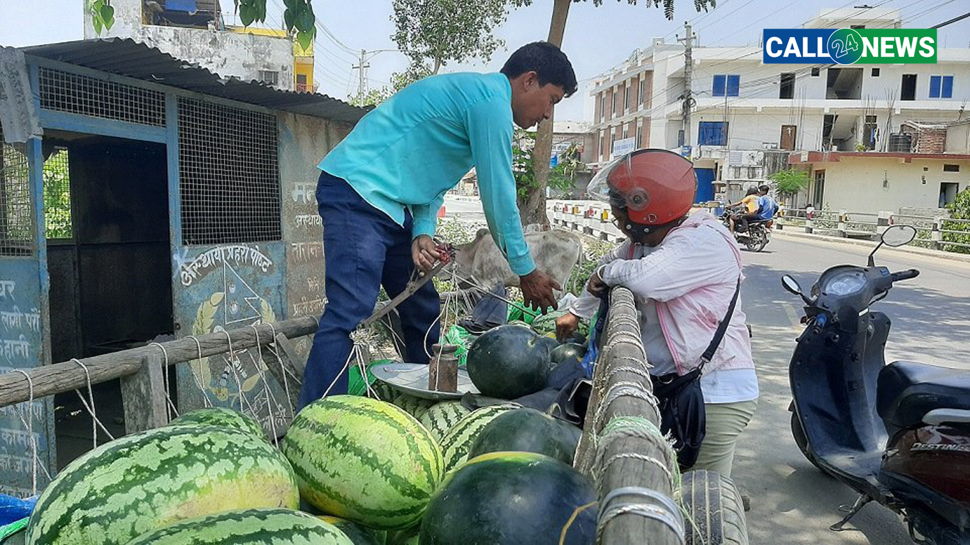 कैलालीमा खरबुजा बिक्रीबाट दैनिक १२ हजारसम्म आम्दानी गर्दै किसान