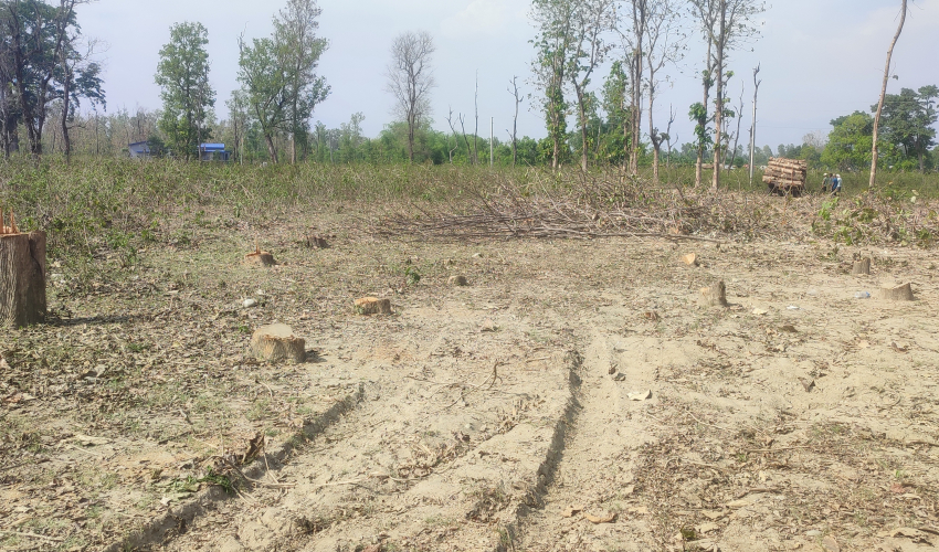 दोधारा चाँदनीमा सुक्खा बन्दरगाह निर्माण तीव्र