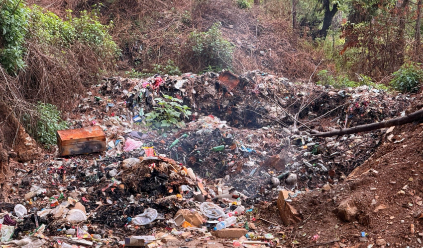 मङ्गलसेन नगरपालिकाको फोहोर सामुदायिक वनमा