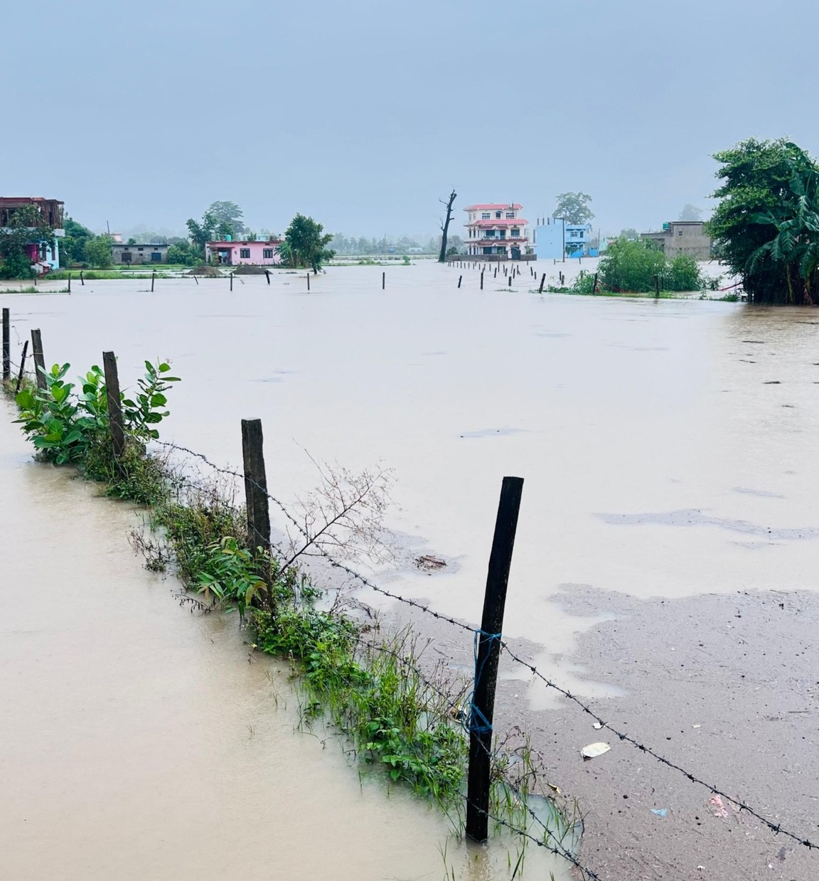 धनगढीमा भारि वर्षापछि झन्डै एक हजार घर डुबानमा, ८ जनाको उद्धार