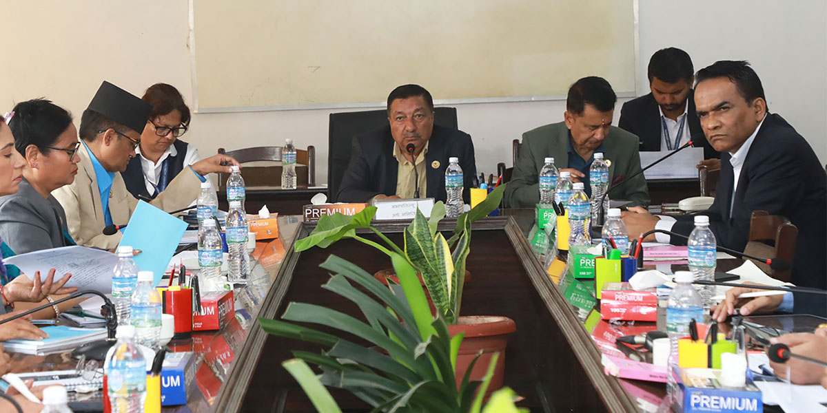 अर्थ समितिमा गभर्नरले भने- कर्जा विस्तार केन्द्रीकृत हुँदा सीमित व्यक्तिले मात्र ऋण पाउने देखियो