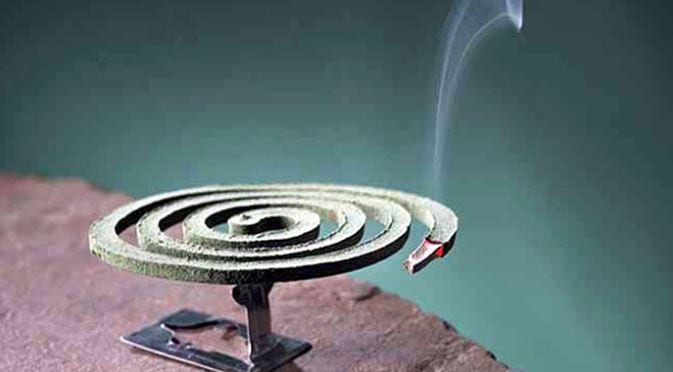 बन्द कोठामा लामखुट्टे धुप,  स्वास्थ्यमा पर्ने मुख्य असरहरू