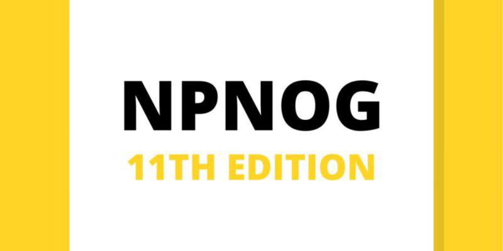 असारमा एनपीनगको एघारौं संस्करण हुँदै