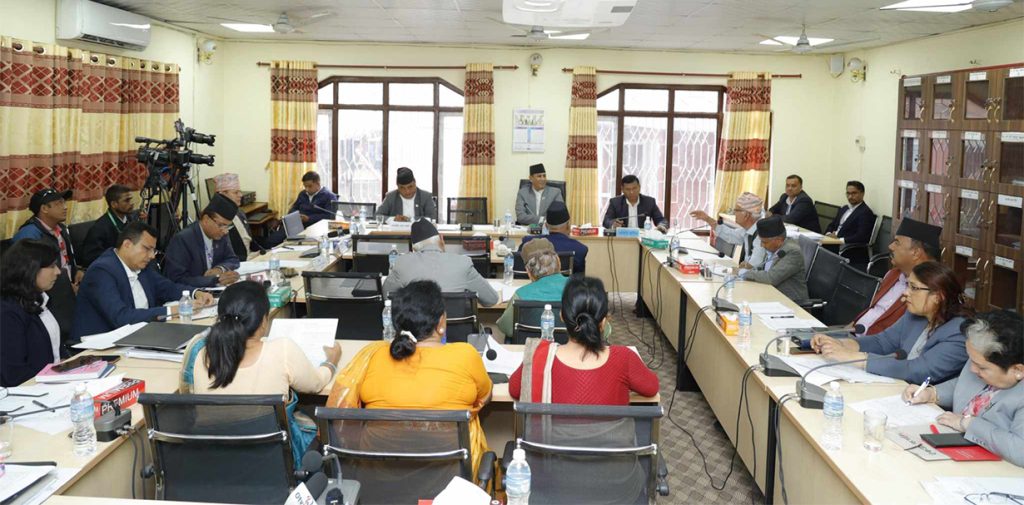 अघि बढ्यो आमाको नामबाट मात्रै पनि नागरिकता पाउने विधेयक