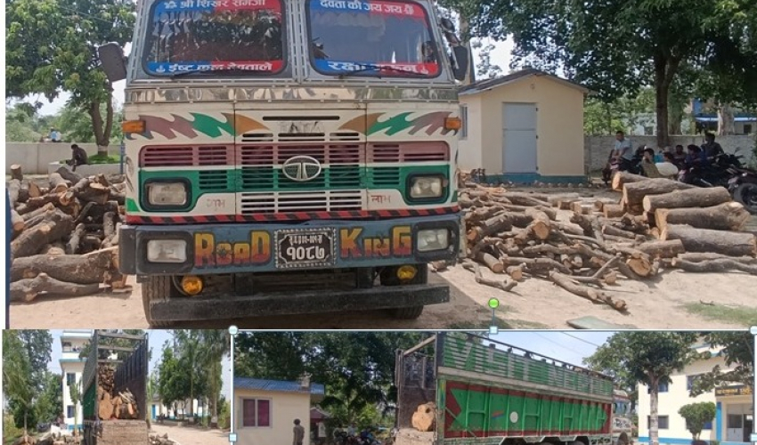 कञ्चनपुरबाट एक ट्रक काठसहित बोहरा पक्राउ