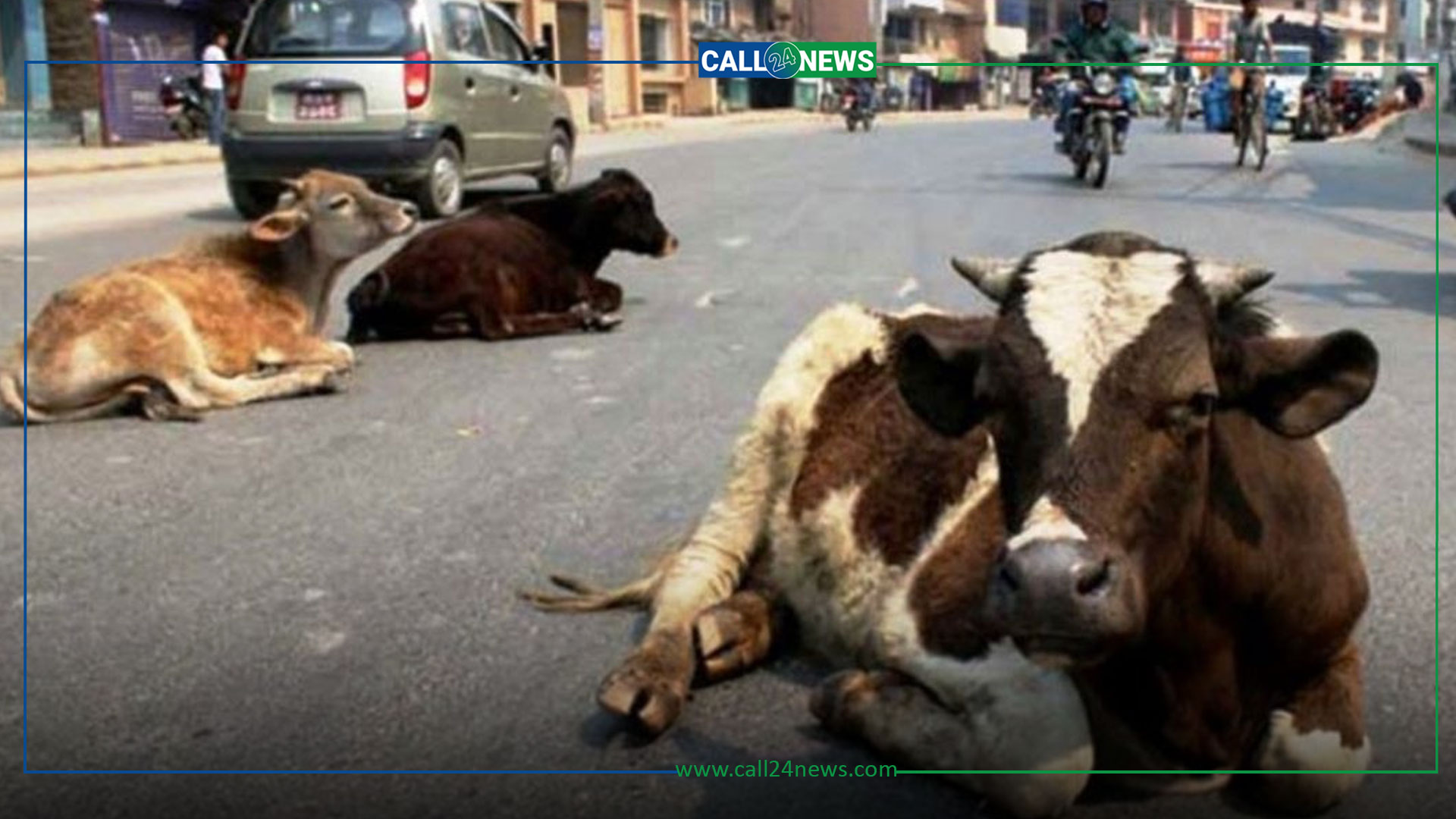 बजेटः सुदूरपश्चिममा छाडा पशु व्यवस्थापन गर्न ९८ लाख विनियोजन
