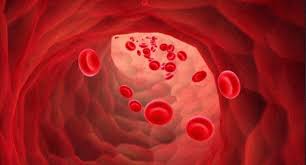 कञ्चनपुरको शुक्लाफाँटामा सिकलसेल एनिमिया पहिचान गर्न रगत परीक्षण