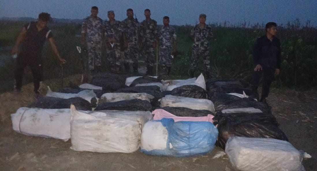 सीमा इलाकाबाट ११ सय २० किलो गाँजा बरामद