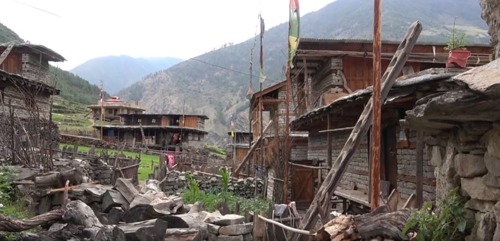 यार्सा खोज्न हिँडेपछि हिमाली क्षेत्रका विद्यालय बन्द, गाउँ सुनसान