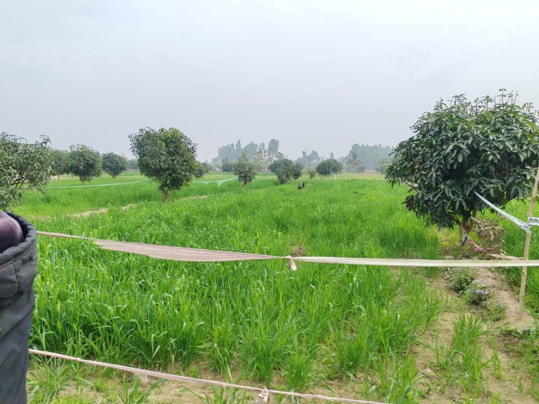 भूमिहीनलाई जग्गा वितरण गर्न निवेदन आह्वान