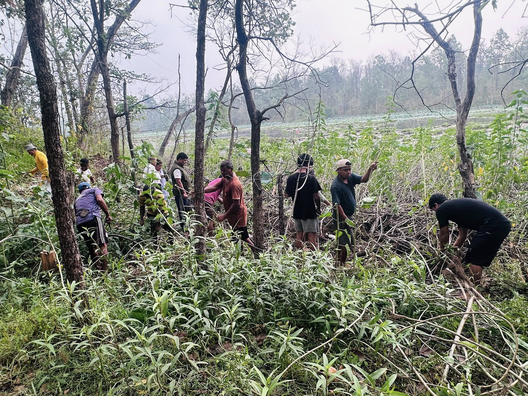 घोडाघोडी तालमा रहेको झार हटाइँदै !