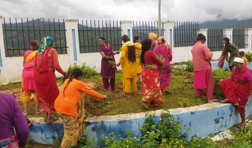 बैतडीमा १० वर्षसम्म अलपत्र बसपार्कमा हलगोरु जोतेर रोपाइ गरियो !