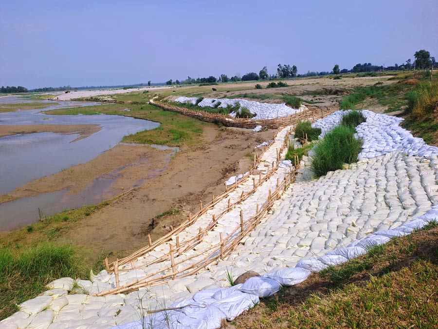 जैविक तटबन्ध