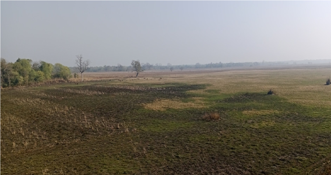 बर्खा कारण बाटो बिग्रेपछि शुक्लाफाँटा राष्ट्रिय निकुञ्जमा जंगल सफारी बन्द !