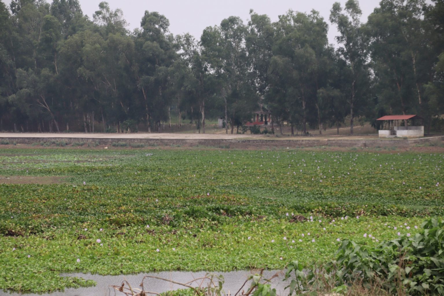 पाँच करोडको लगानीमा कञ्चनपुरको बन्धातालमा पूर्वाधार निर्माण गरिँदै