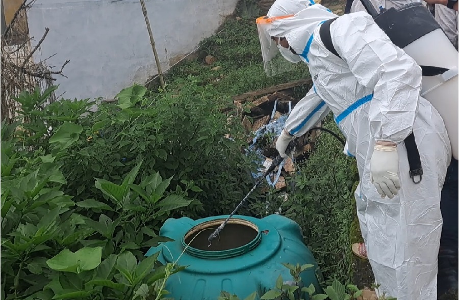 डेङ्गुको जोखिम बढ्दै, लार्भा खोज तथा नष्ट अभियान सुरु