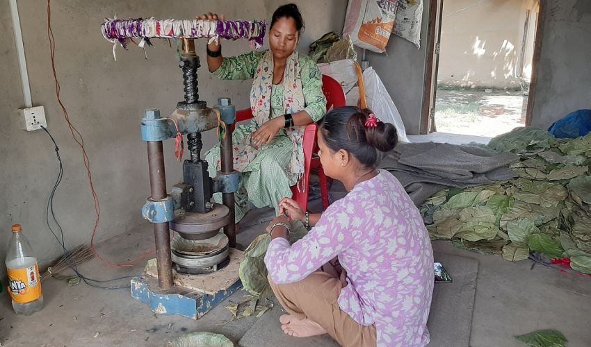 दुनाटपरी बनाएर आत्मनिर्भर बने धनगढीका महिला समूह