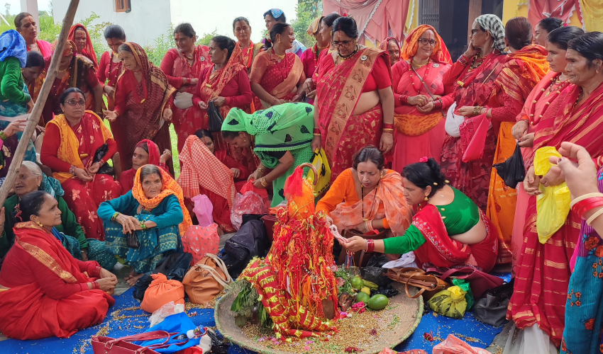 सुदूरपश्चिममा गौरापर्वः आज मुख्य दिन अठ्यावाली