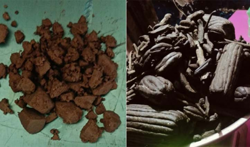 कैलालीमा ५ किलो ६९० ग्राम चरेश र ४ ग्राम ९० मिलिग्राम खैरोइनसहित ५ जना पक्राउ 