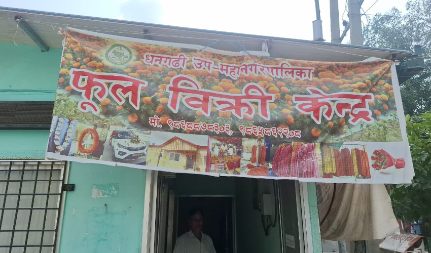 धनगढीको फूल बिक्री केन्द्रमा थोक मूल्यमै उपभोक्ताले फूल पाउने