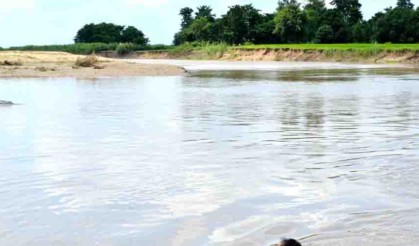 कैलालीको पथरैया र काँढा नदीमा दुई पटक सर्भे, तर पुल बनेन