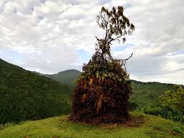 आज सुदूरपश्चिममा ‘बुढी पोल्ने’ पर्व मनाइँदै