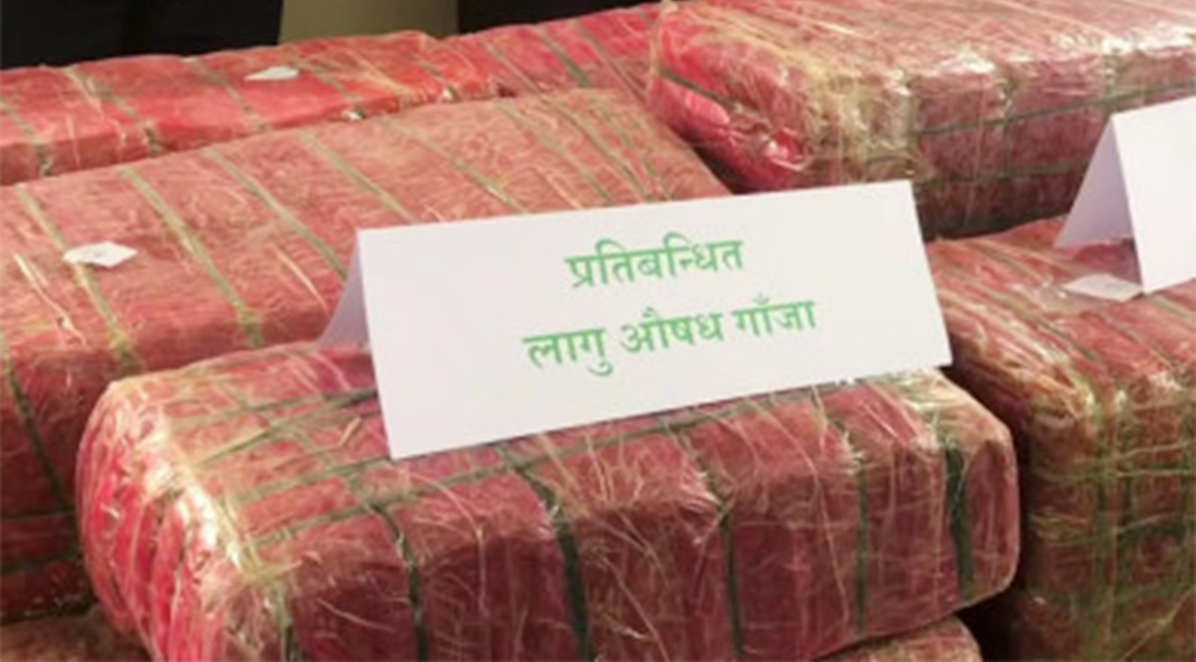 एम्बुलेन्सबाट ढुवानी हुँदै गरेको ४५९ किलो गाँजा बरामद
