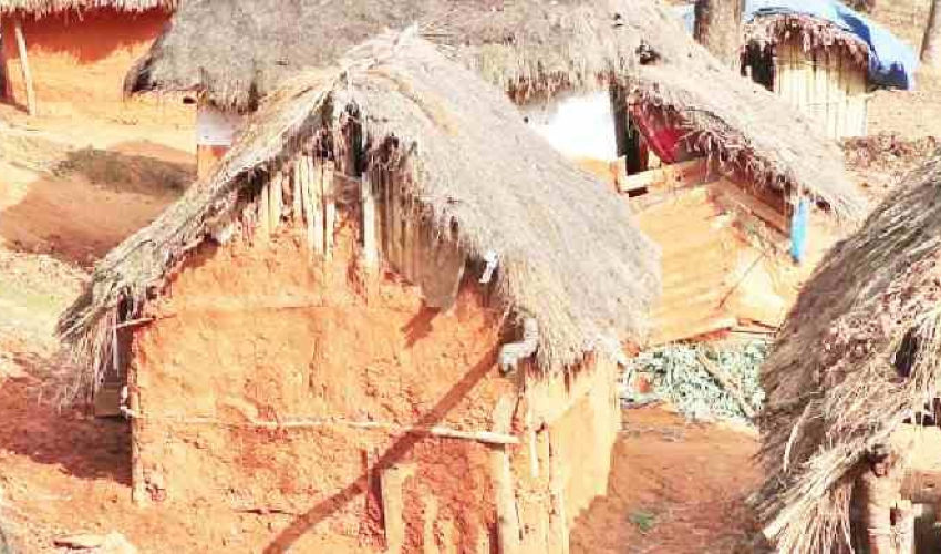 कैलालीका सुकुम्बासीलाई हरेक निर्वाचनमा लालपुर्जाको आश्वासन