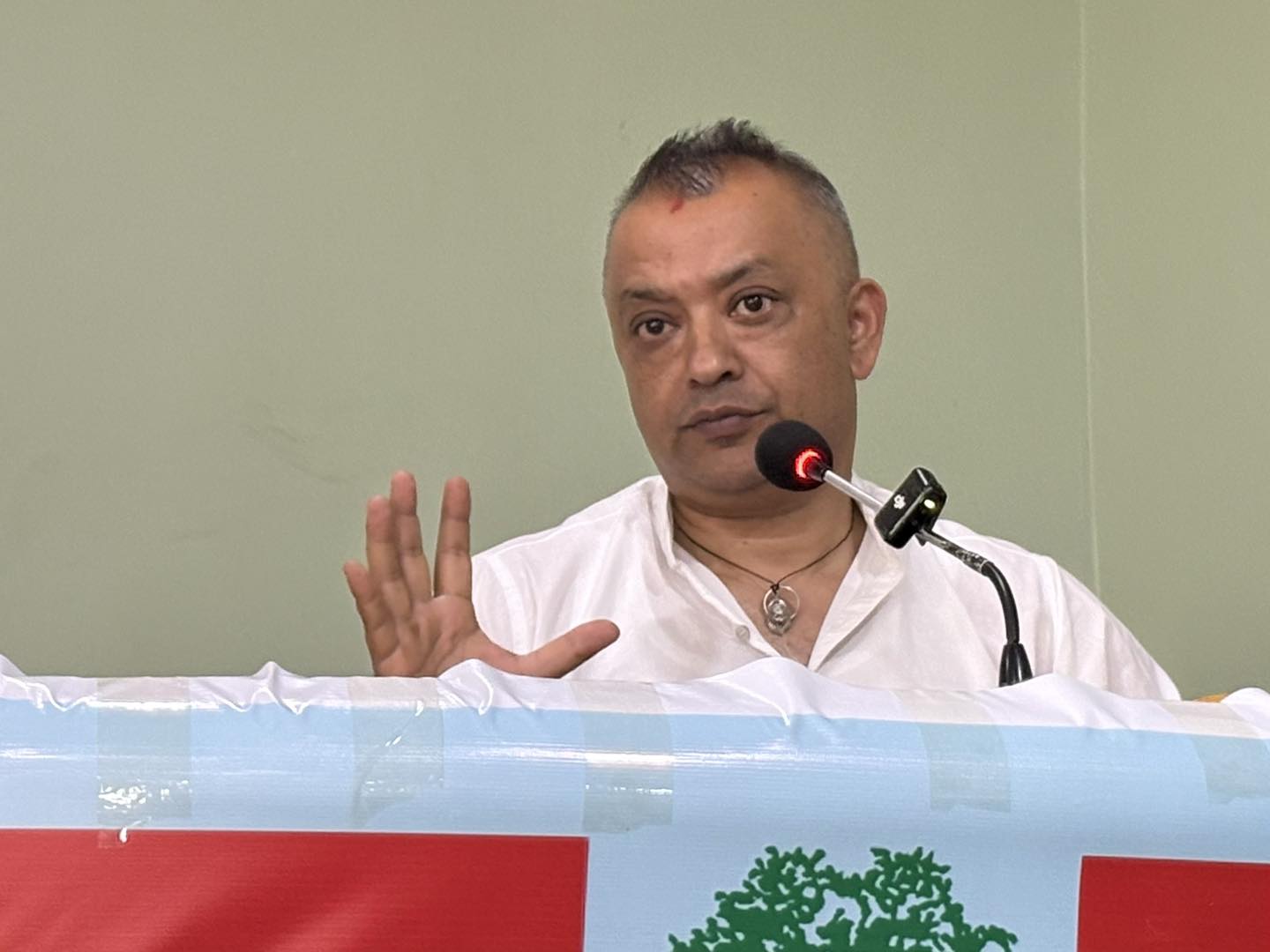 रास्वपा महाधिवेशनमा कांग्रेस सभापति गगन थापा जाने