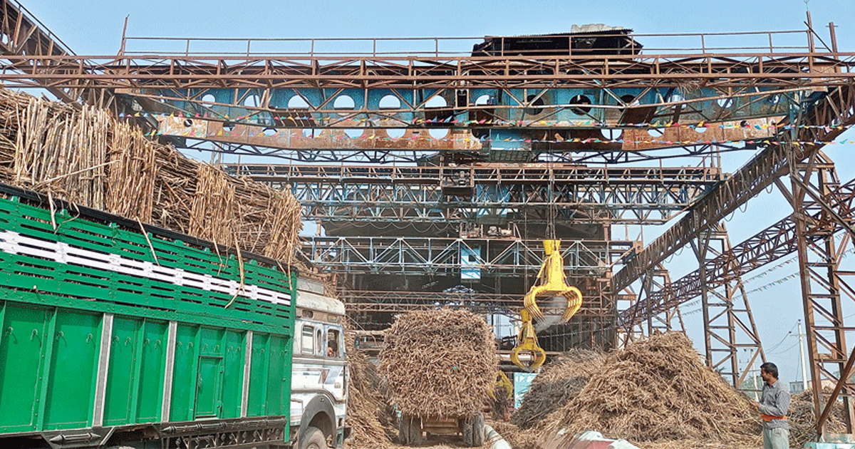 सरकारका १०० दिन: उखु किसानले १३ वटा चिनी मिलबाट पाए ९२ प्रतिशत रकम