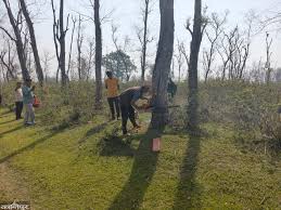 दोधारा चाँदनी सुक्खा बन्दरगाह : रुख कटान सकिएपछि निर्माणको बाटो खुल्यो !